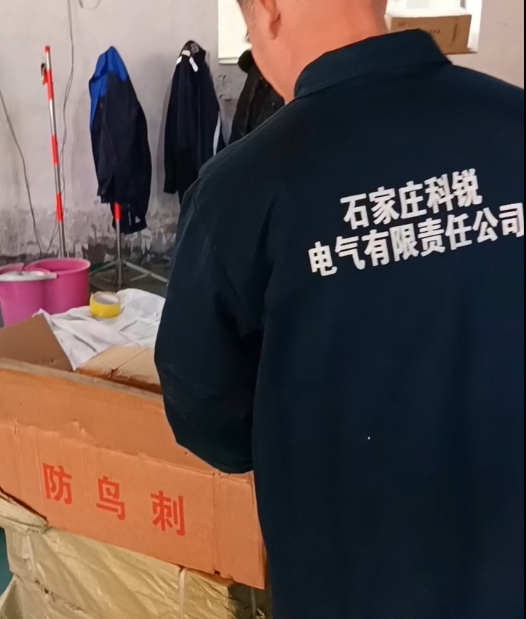 防鸟刺发货2